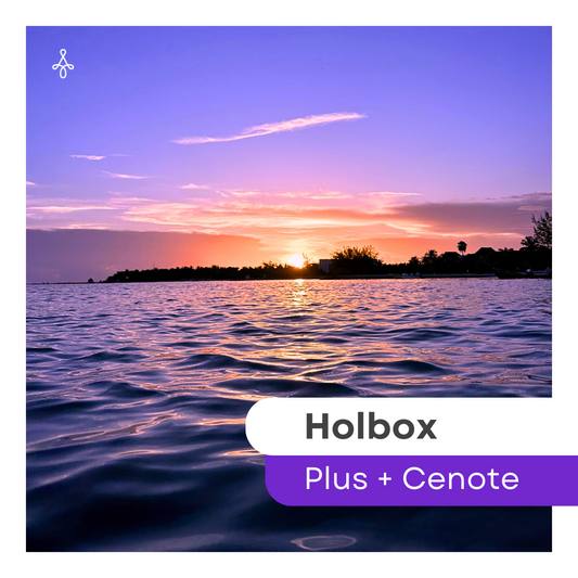 Holbox Plus + Cenote