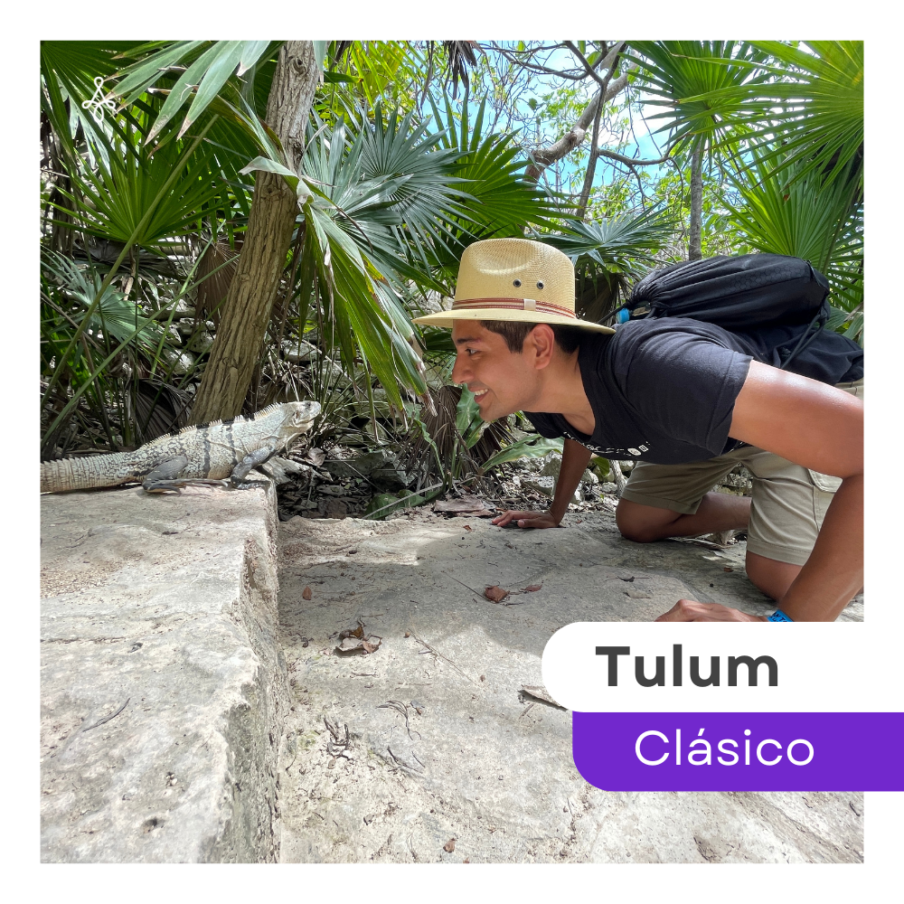 Tulum Clásico